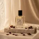 WhatsApp Image 2025-11-25 at 4.56.37 PM.webp