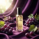 topview_image_null (1).webp