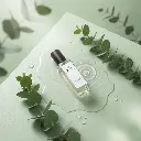 topview_image_null (2).webp